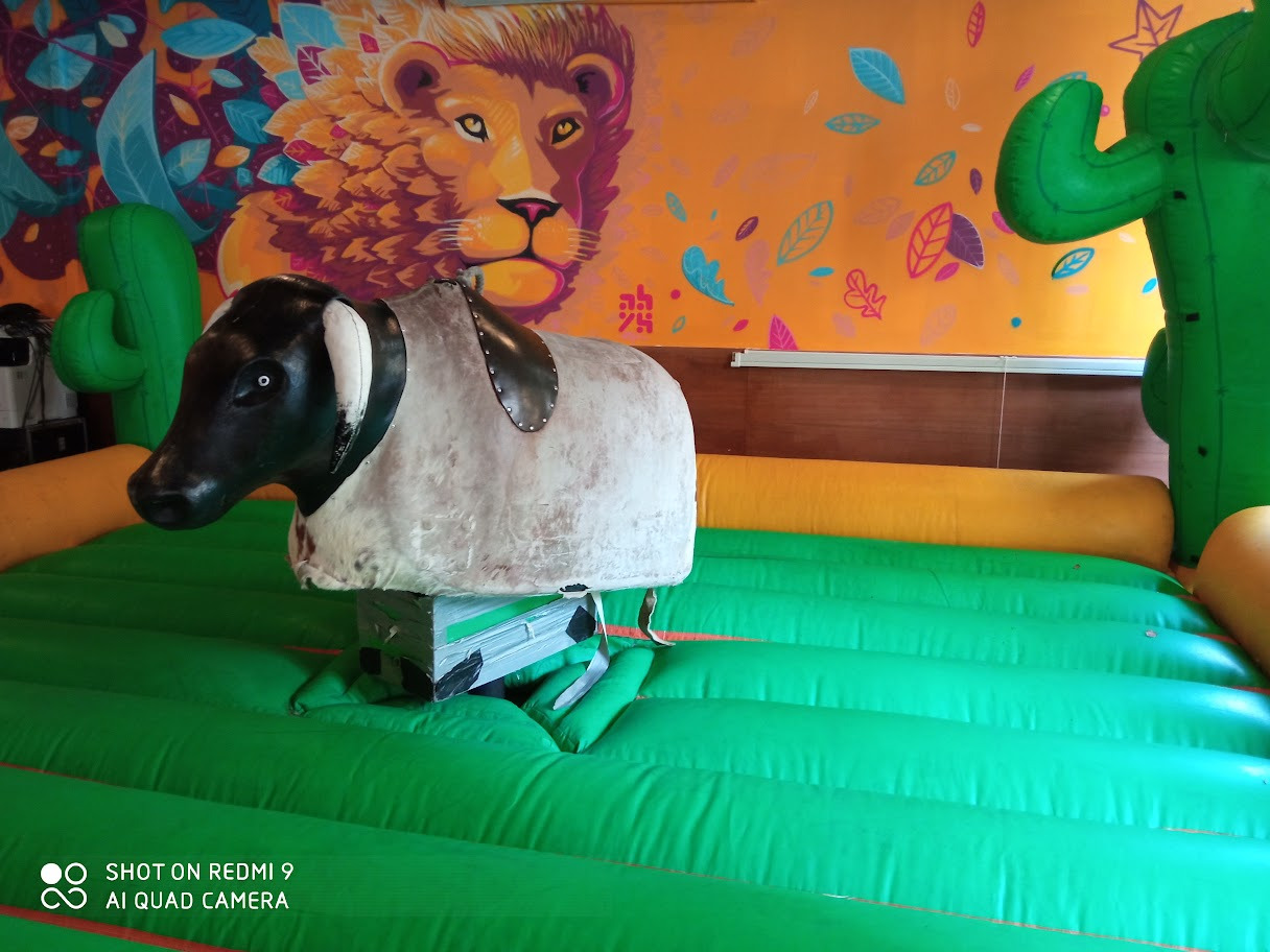 Team building rodéo mécanique